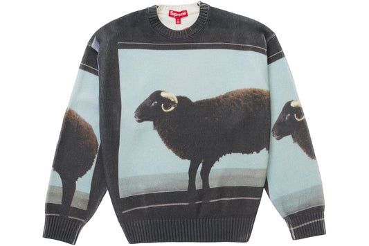 SVPR£M£ Damien Hirst Sweater