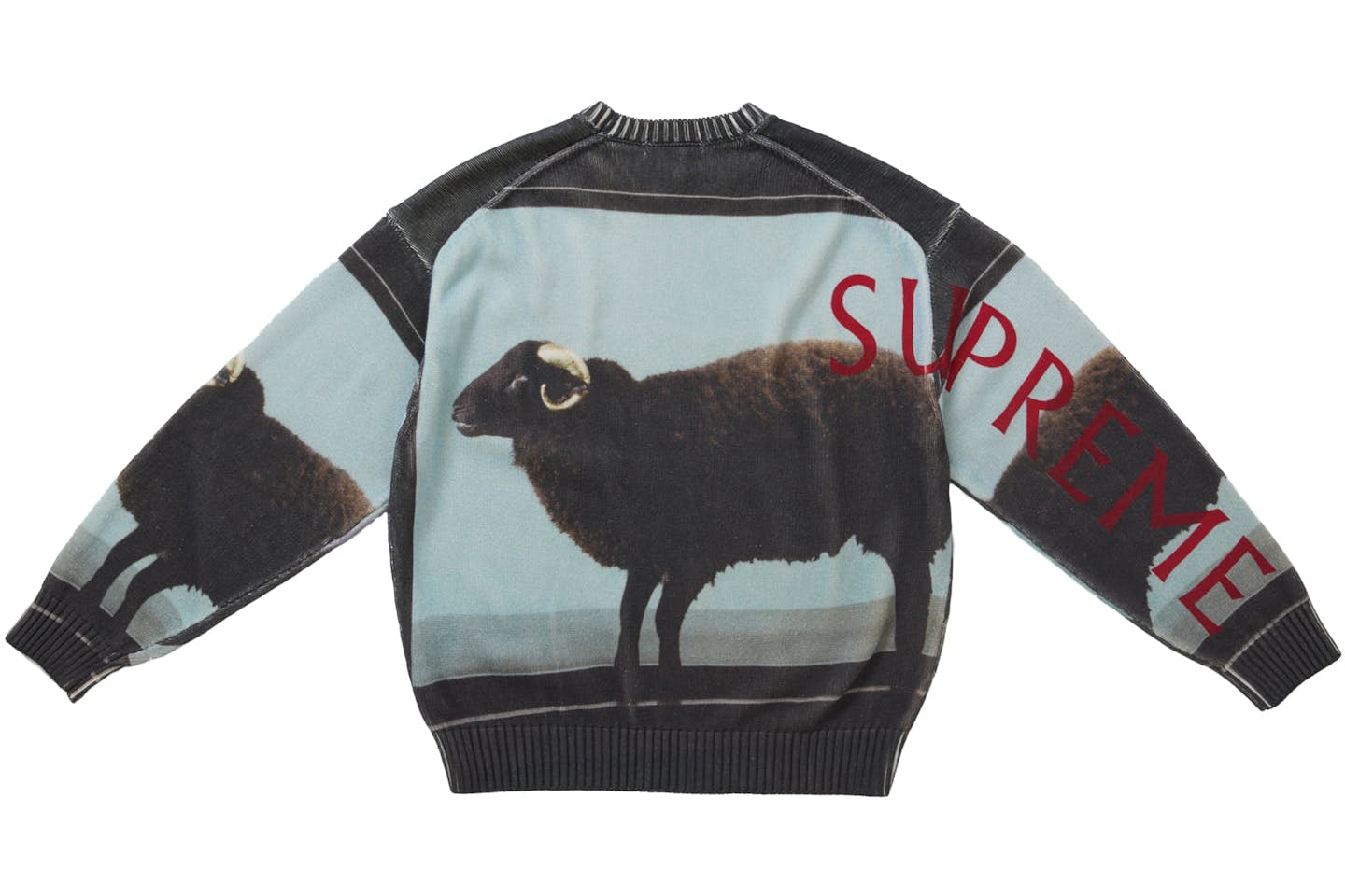 SVPR£M£ Damien Hirst Sweater
